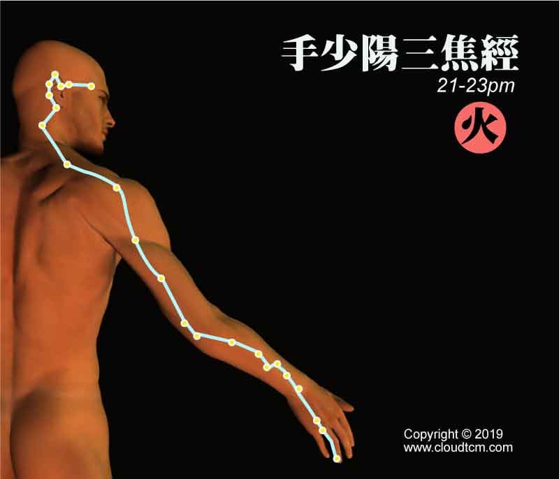 手少陽三焦經