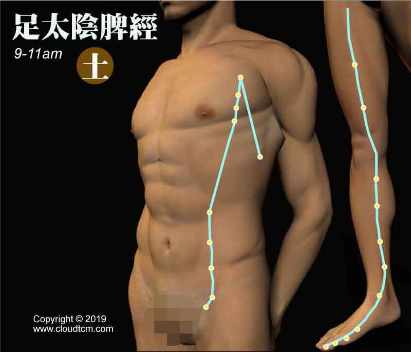 脾經氣血阻塞嗎？按摩,拍打,刮痧,拔罐1次完整搞定！