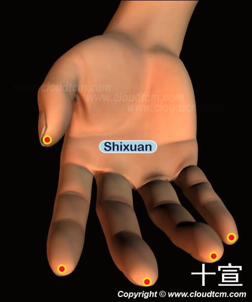 十宣