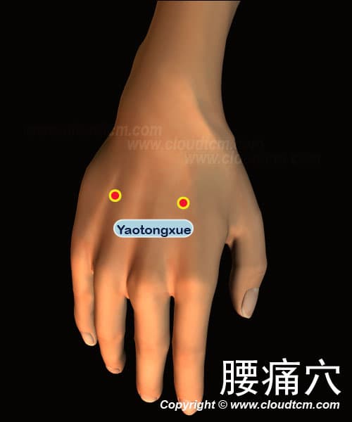 腰痛穴