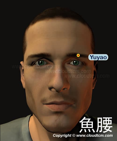 魚腰