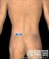 腰陽關