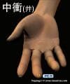 中衝