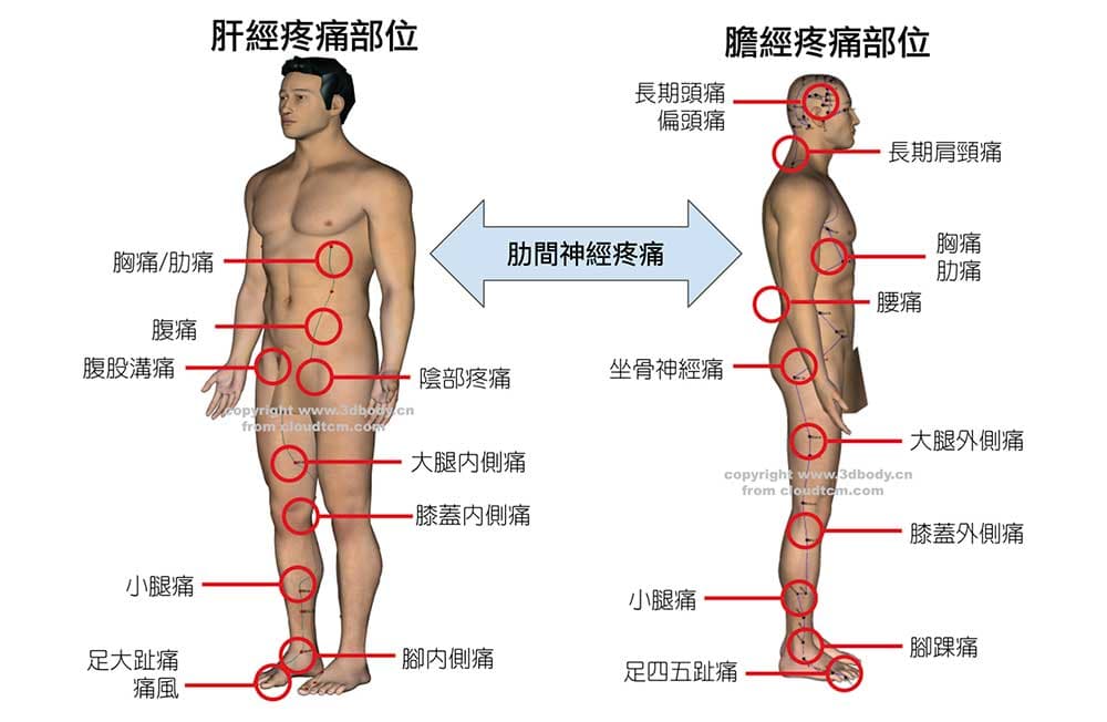 肝經膽經異常容易造成肋間神經痛