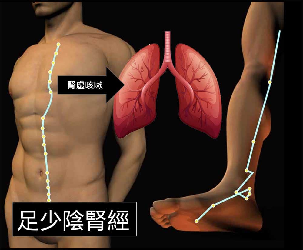 腎虛也會造成咳嗽