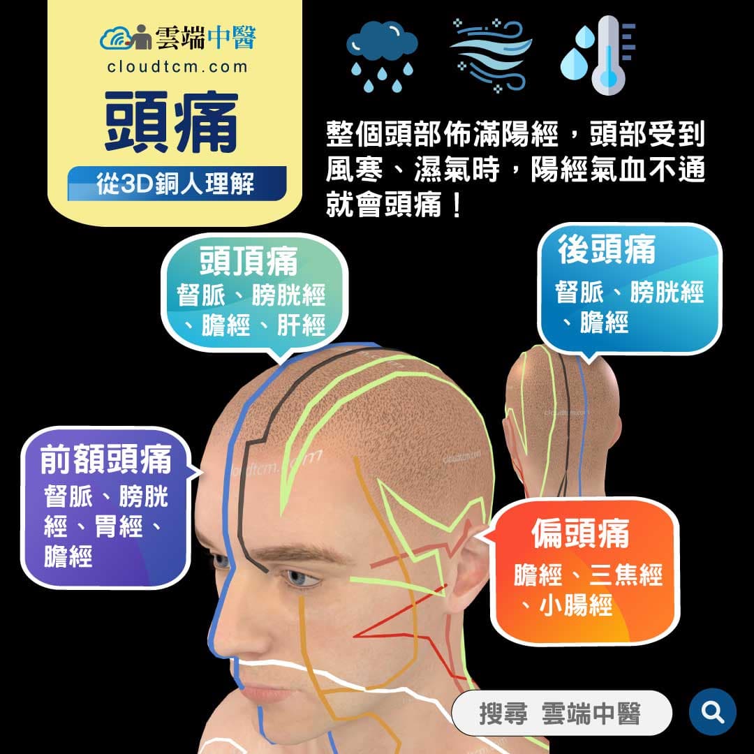 前額頭痛怎麼辦?從中醫證候,經絡與中藥理解！