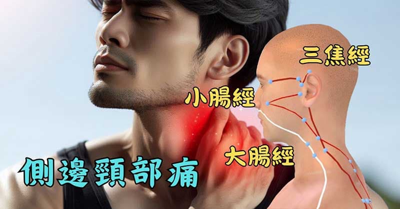 側邊頸子疼痛，與三條主要經絡有關