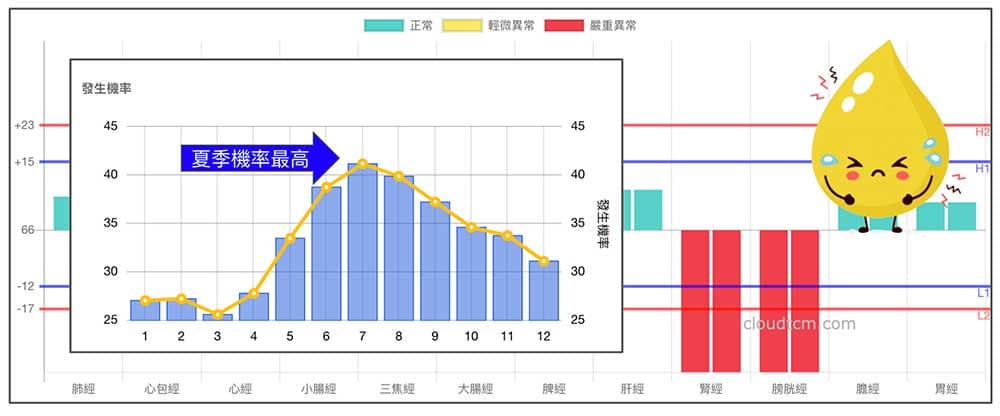 夏季時，腎經與膀胱經虛證機率達到極點