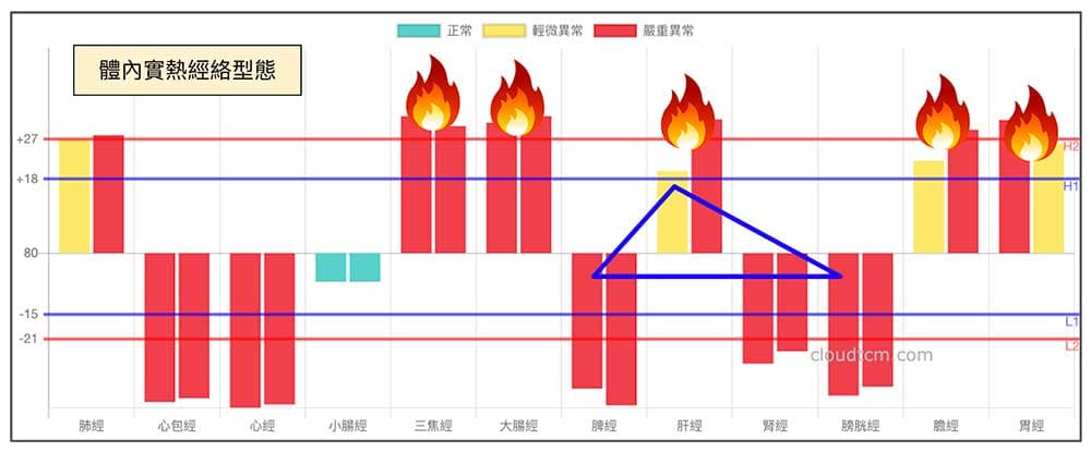 在夏天有機會看到的這種實熱經絡圖