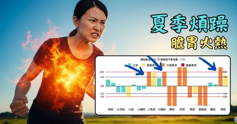夏季常見的經絡型態，體內三焦、大腸胃火嚴重