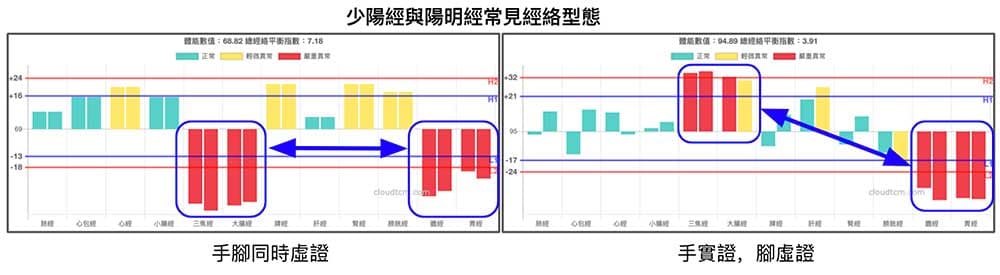 少陽經與陽明經常見的經絡型態