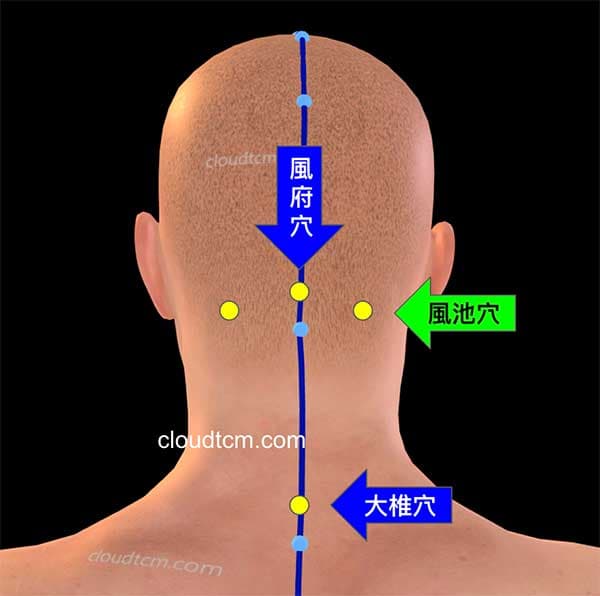 保持後腦杓與大椎穴不受寒，是預防萬病的第一步