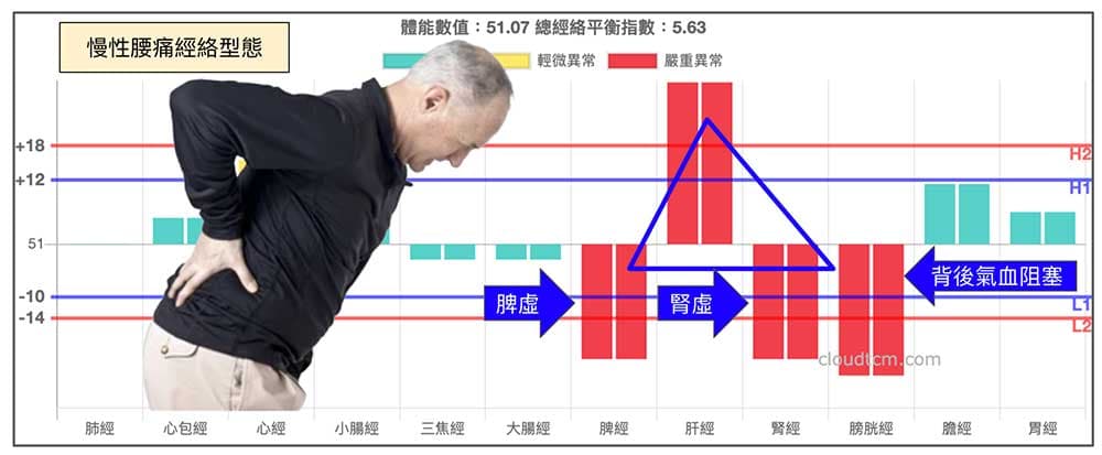 最容易出現慢性腰痛的經絡型態