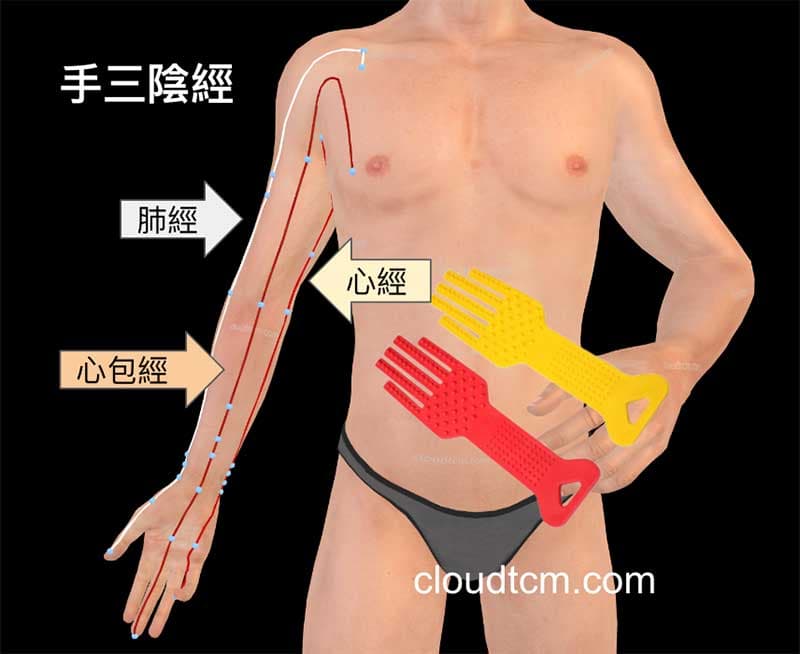 經絡拍打「手三陰經」，可以改善腕管綜合症