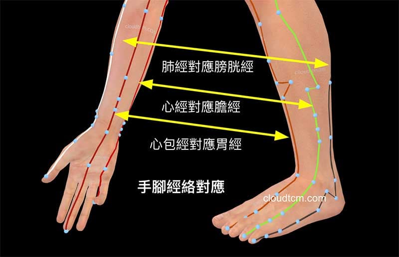 手腳經絡對應，腳部異常會反映在手部