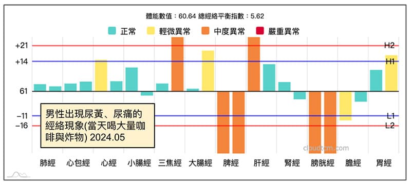 男性大量喝咖啡，吃炸物後，尿黃尿痛的經絡型態