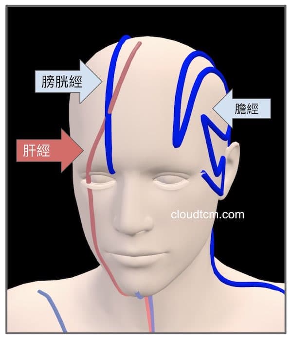 肝經分支通往頭部的顛頂，影響腦部狀態