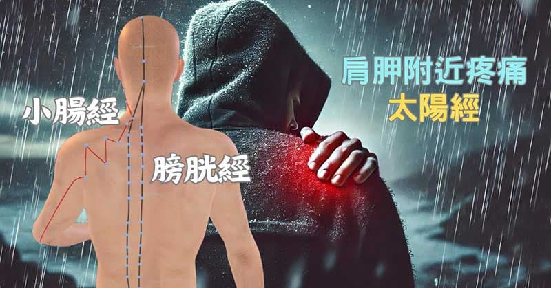 肩胛骨附近疼痛，與太陽經密切相關