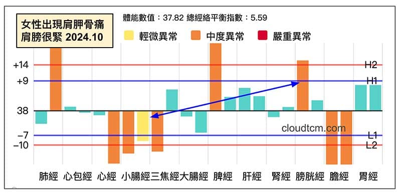 女性出現肩胛骨痛，肩膀很緊的經絡型態