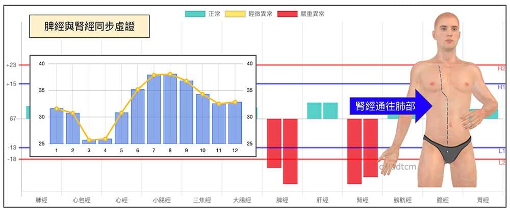 脾經與腎經虛證時，也容易出現咳嗽