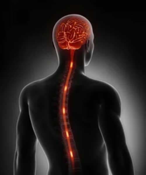 腦部疾病與膀胱經、督脈密切相關
