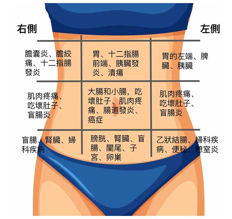 腹部的每個區域疼痛，都代表某些疾病可能性