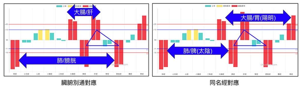 現代人常見的經絡體質，全部對應反應在肺經與大腸經上