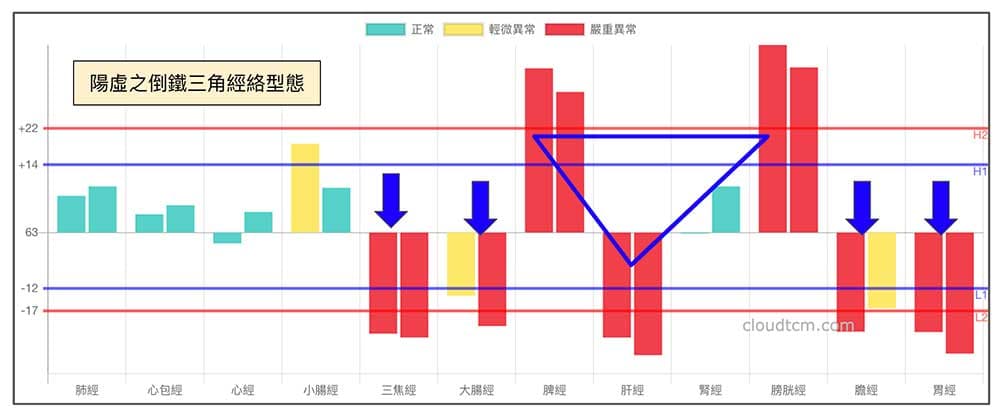 現代人常見之陽虛經絡型態與體質