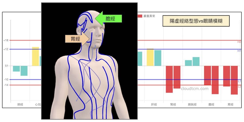 陽虛經絡型態也會出現眼睛模糊