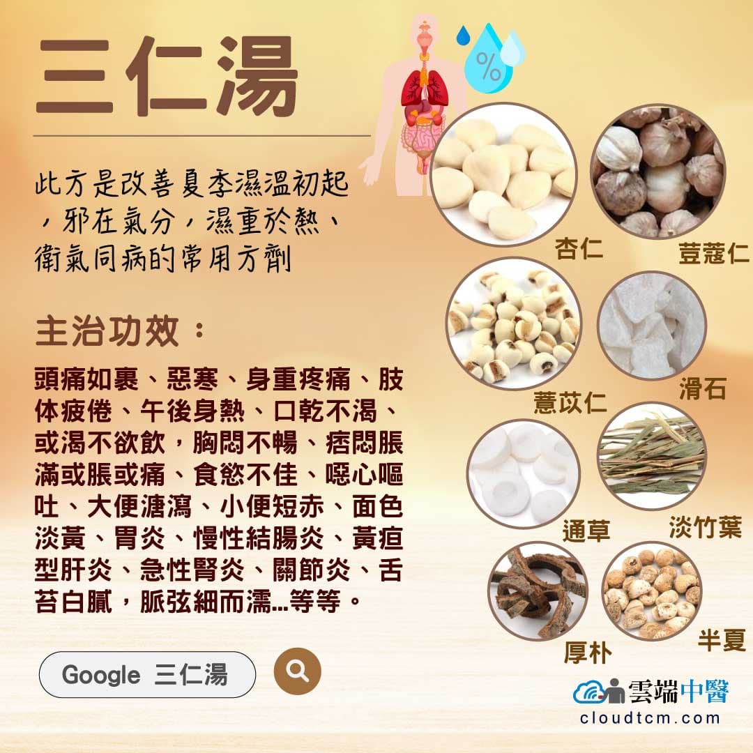 三仁湯