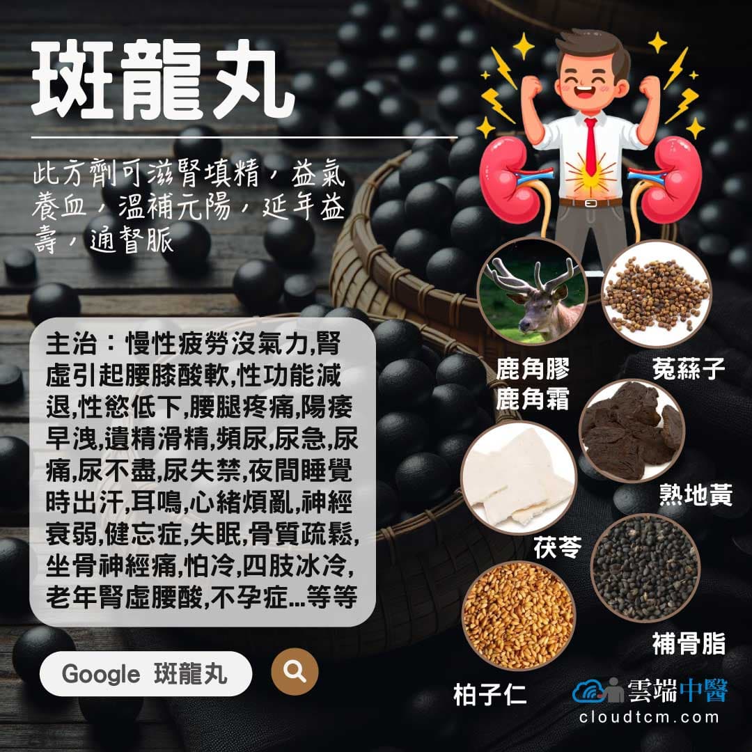 斑龍丸