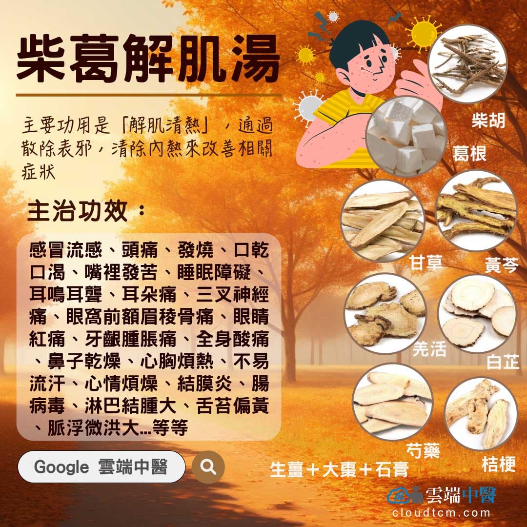 柴葛解肌湯