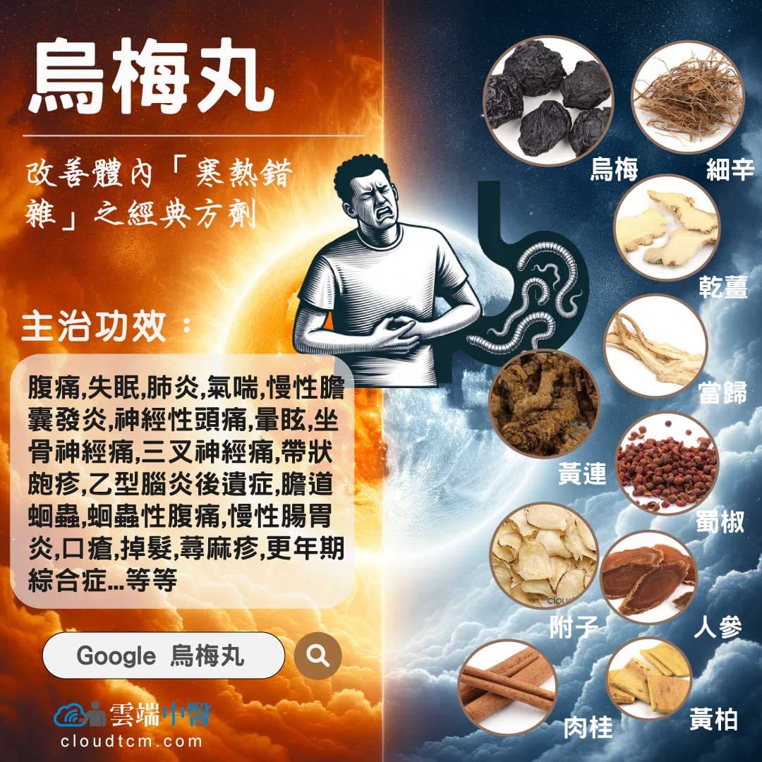 最經典的改善寒熱夾雜方劑竟然被視為驅蟲藥