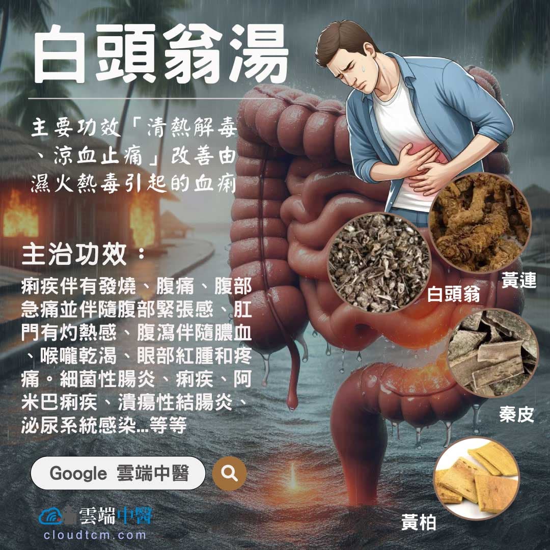 白頭翁湯