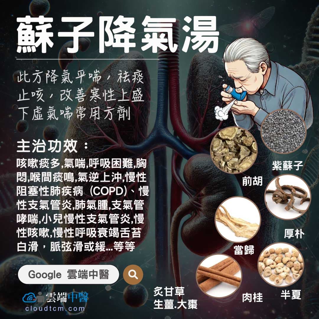 蘇子降氣湯