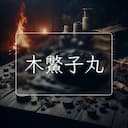 木鱉子丸