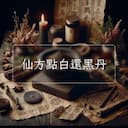 仙方點白還黑丹