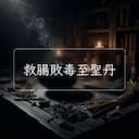 救腸敗毒至聖丹