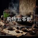 荊防五苓飲