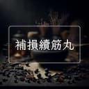 補損續筋丸