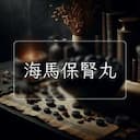 海馬保腎丸