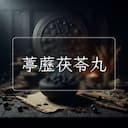 葶藶茯苓丸