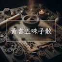黃耆五味子散