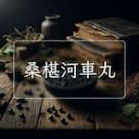 桑椹河車丸