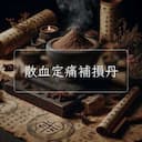 散血定痛補損丹