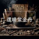 還睛紫金丹