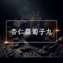 杏仁蘿蔔子丸