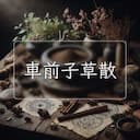 車前子草散