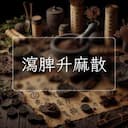 瀉脾升麻散