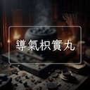 導氣枳實丸
